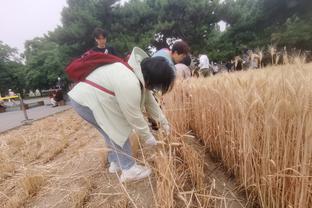 今日雷霆战尼克斯 亚历山大迎来复出且没有时间限制！